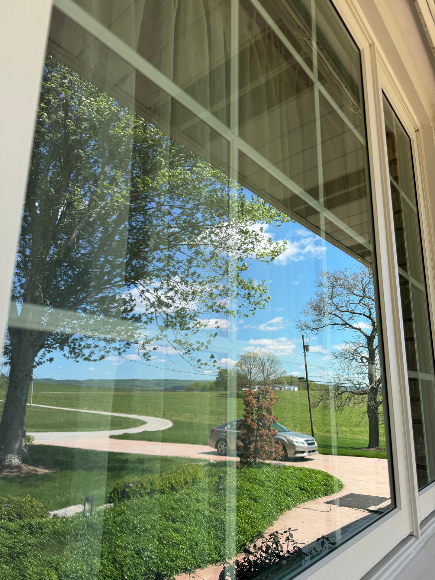 Crystal clear view through a freshly cleaned exterior window
