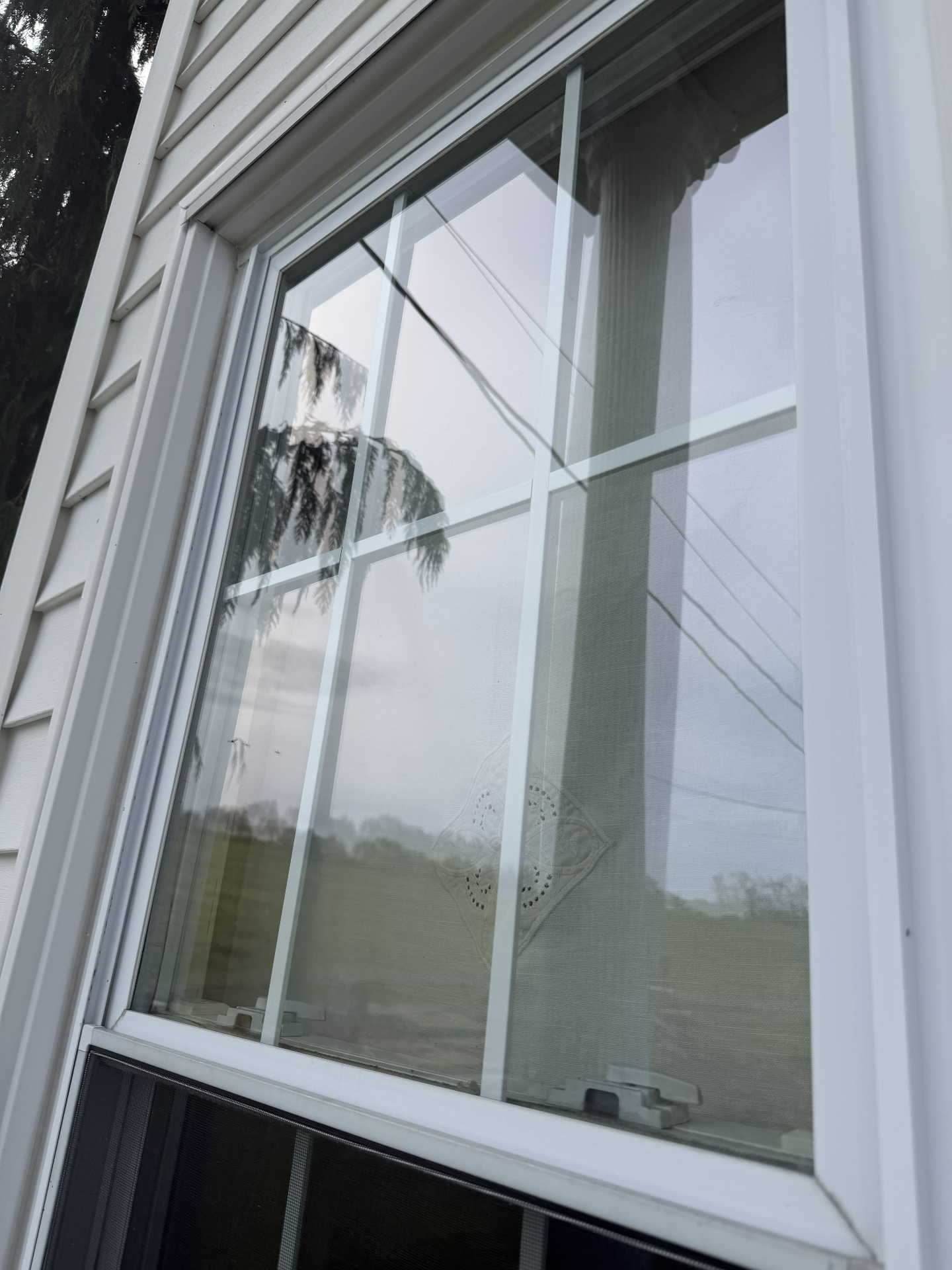 Freshly cleaned exterior window closeup